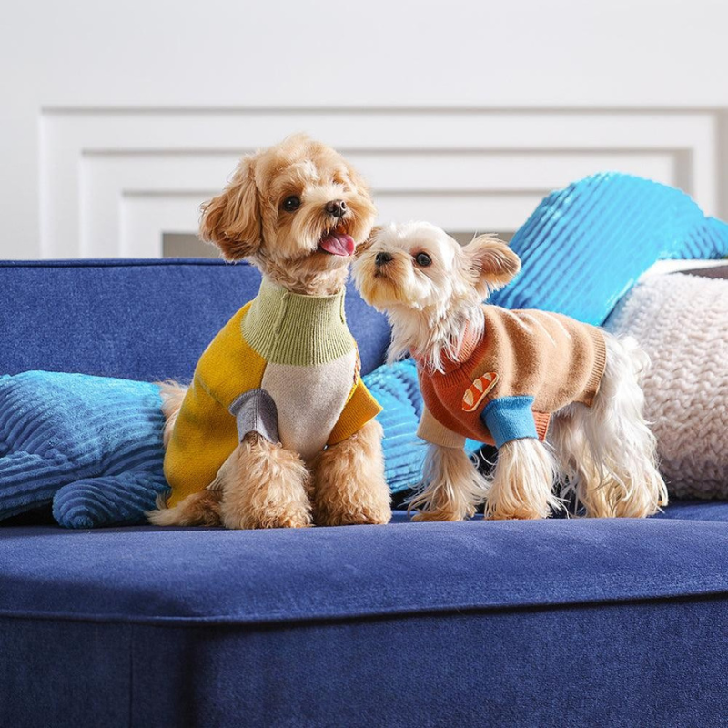 Sweaters & Knitwear