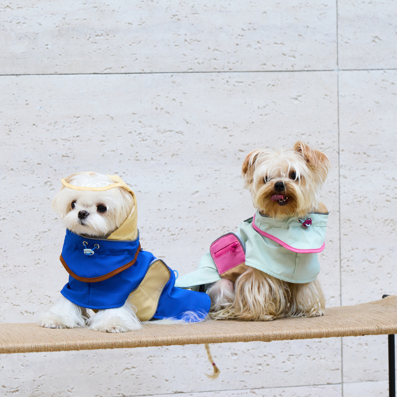 Walk Essentials