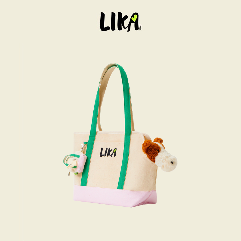 Canvas Tote Bag