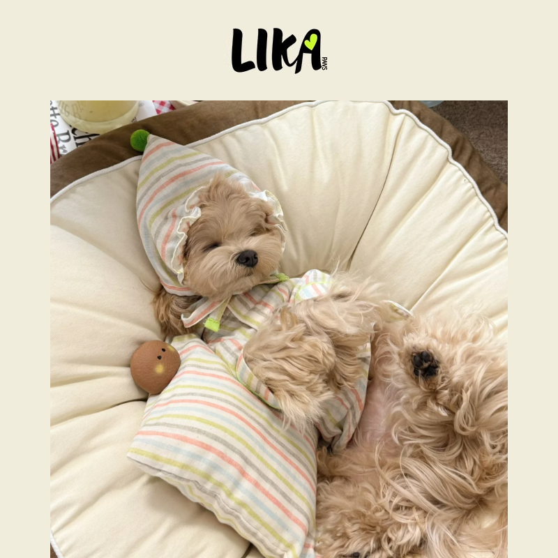 Pajama Set - 4-Piece Pet Cotton Sleepwear