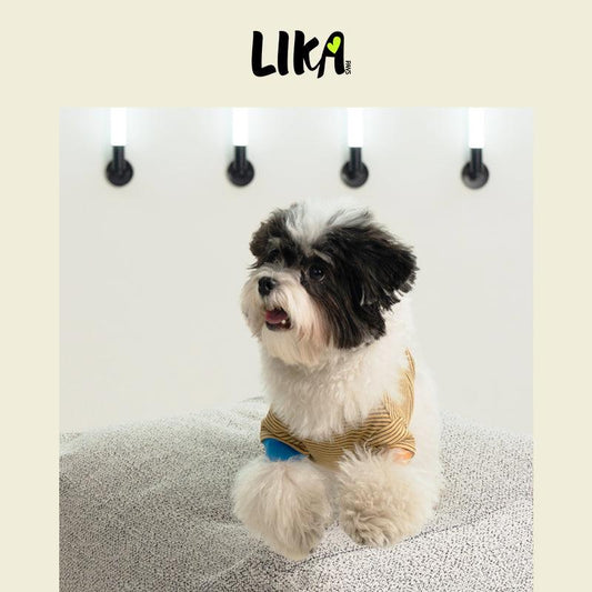 7x24 With You Short Sleeved Shirt - Khaki Black - Shirt - LIKAPAWS