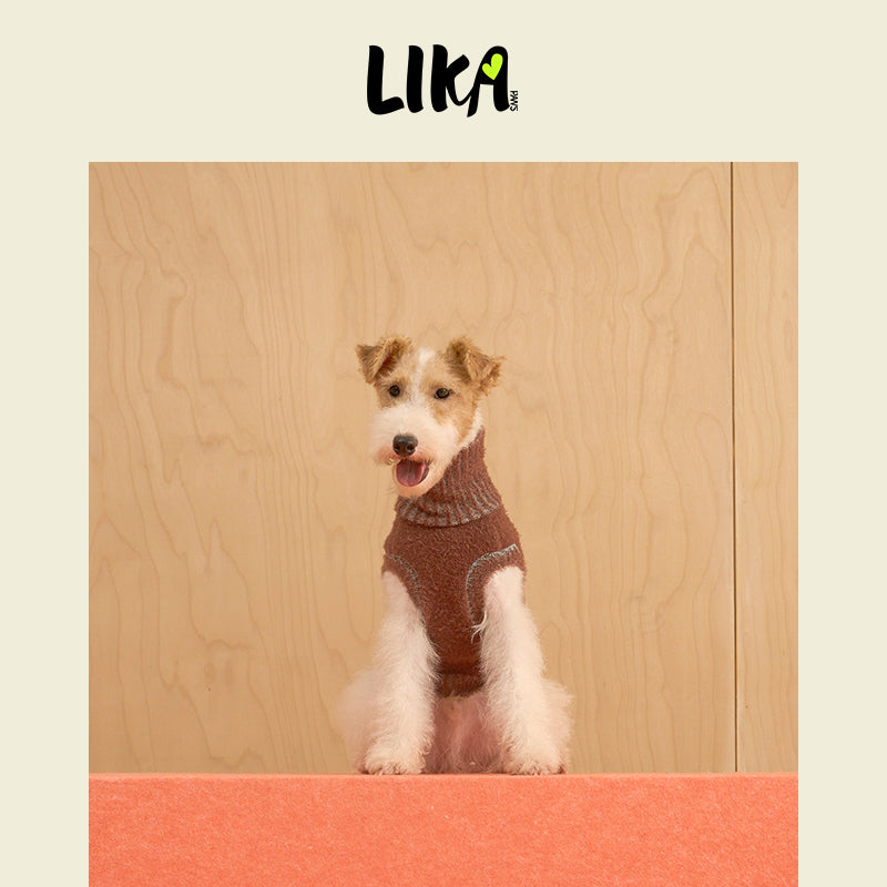Soufflé Soft Dog Sweater Brown