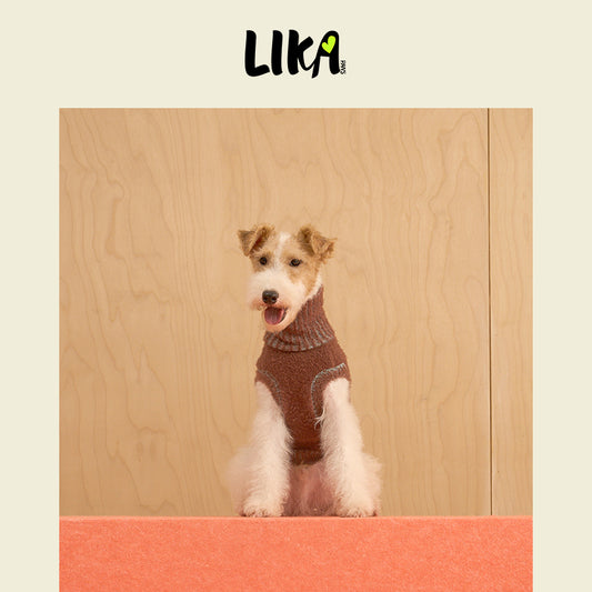 Soufflé Soft Dog Sweater Brown