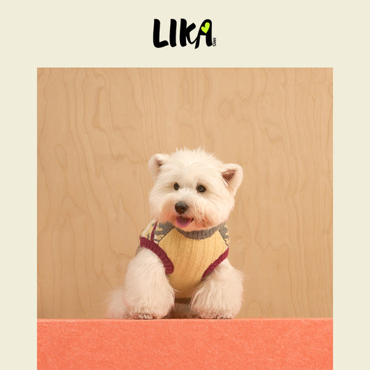 Colorful Fair Isle Sweater Gray