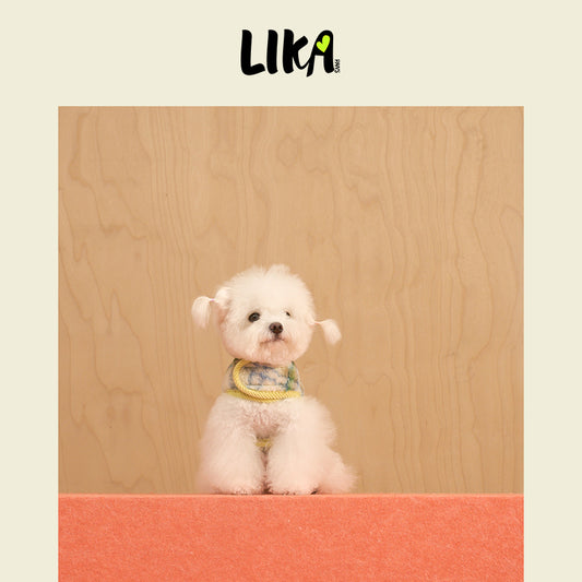 Reversible Felt Harness Green