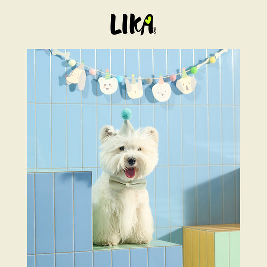 Pet Party Set - Blue