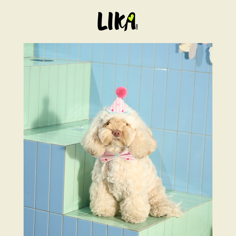 Pet Party Set - Pink