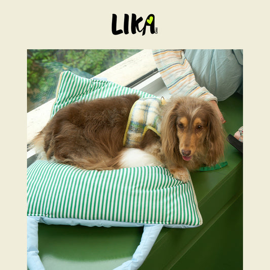 Cloud Marshmallow 3-in-1 Carrier