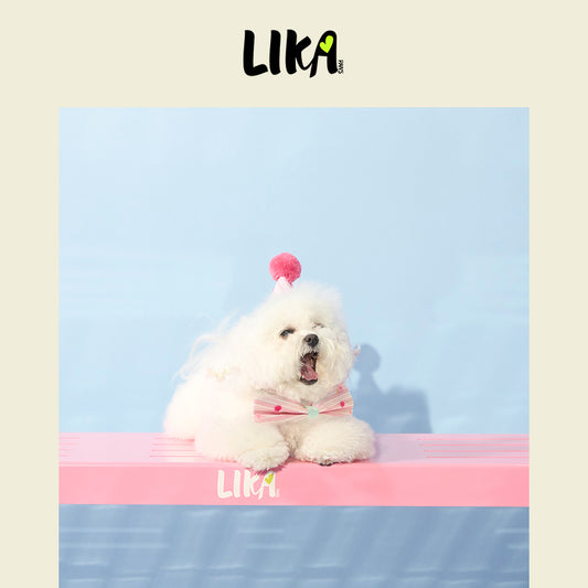 Pet Party Set - Pink