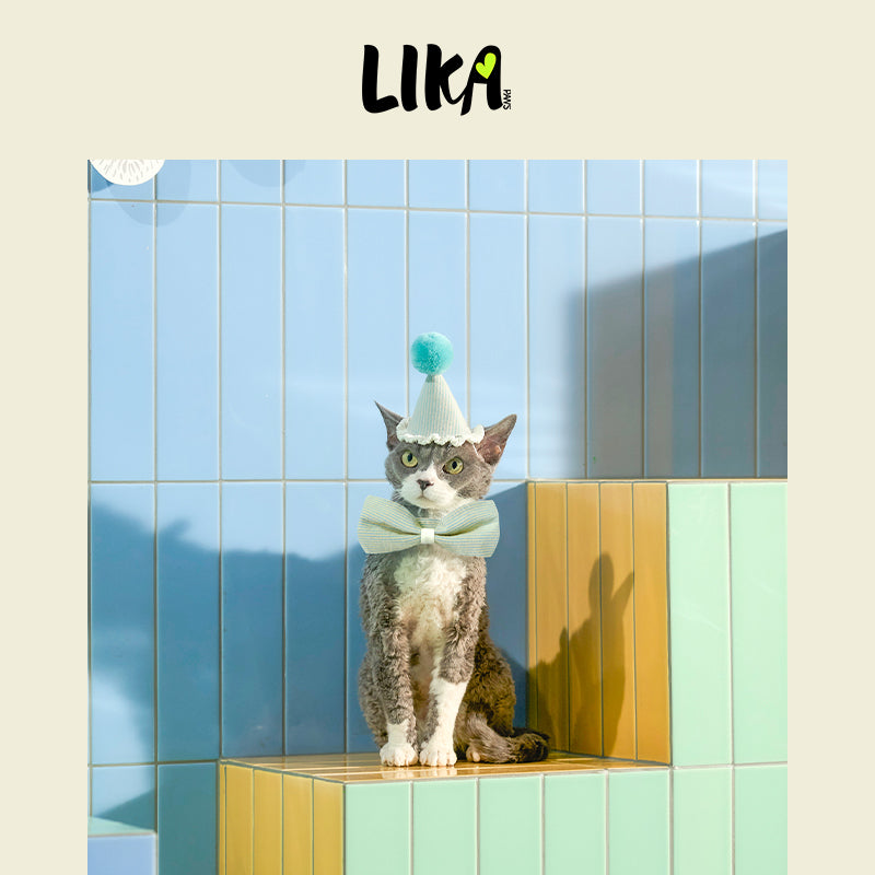 Pet Party Set - Blue
