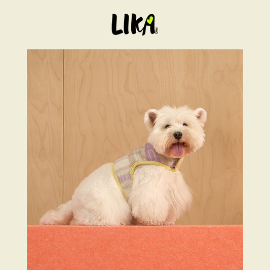 Reversible Felt Harness Orange