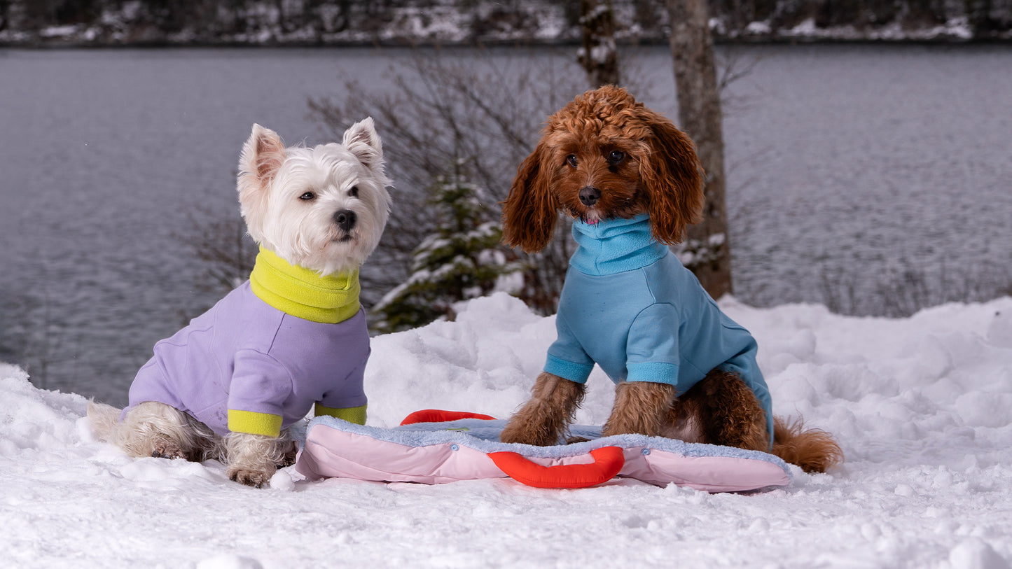 Blue and Lila pullover for dogs