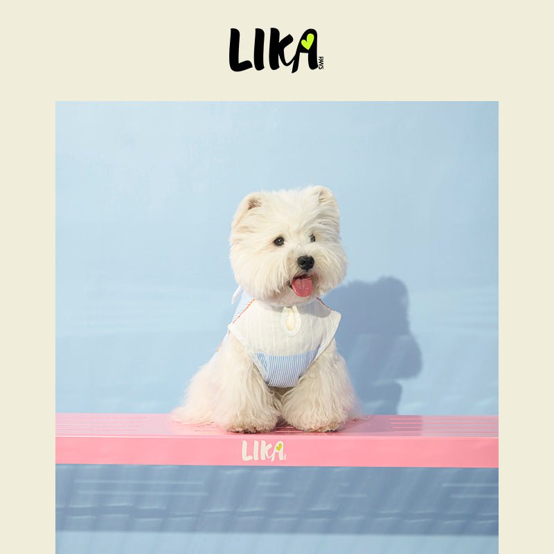 Ballroom Button Down Shirt Blue - Shirt - LIKAPAWS