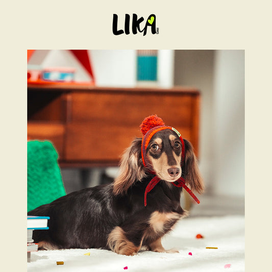 Christmas Hat & Cloak - LIKAPAWS