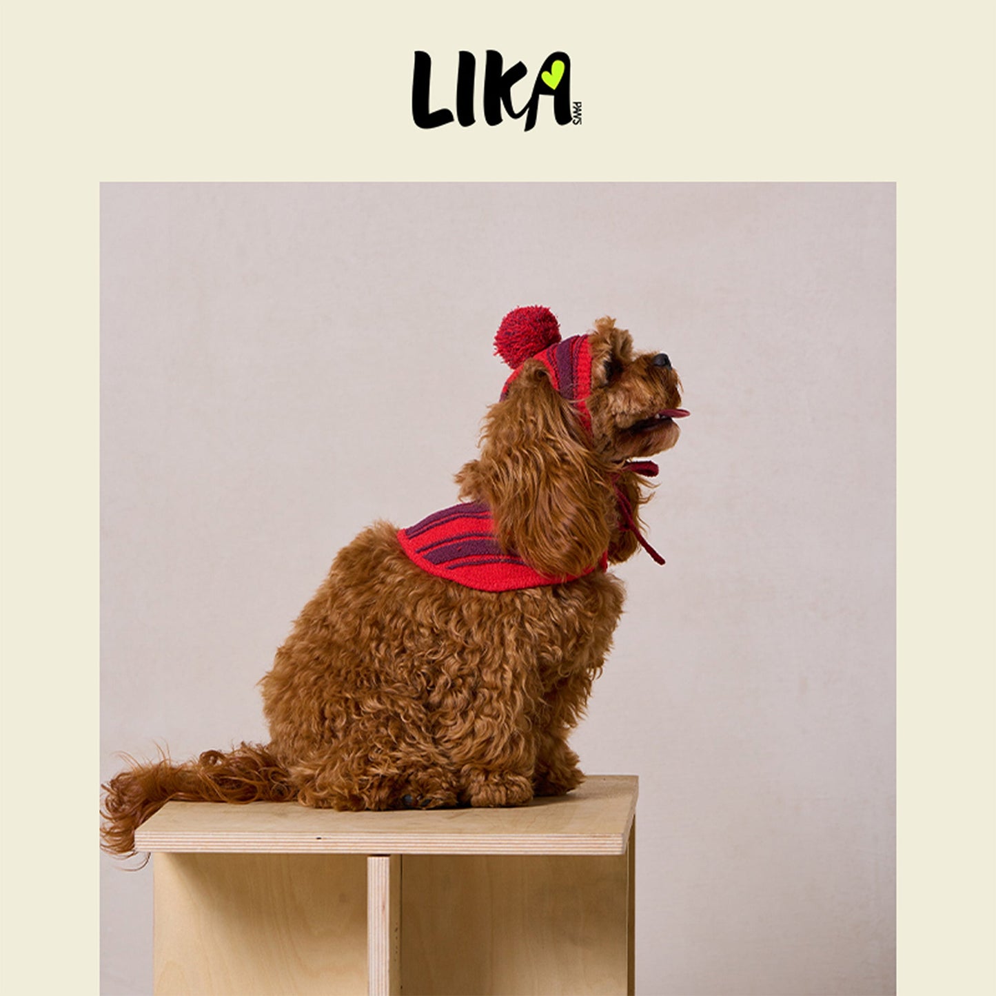 Christmas Hat & Cloak - LIKAPAWS