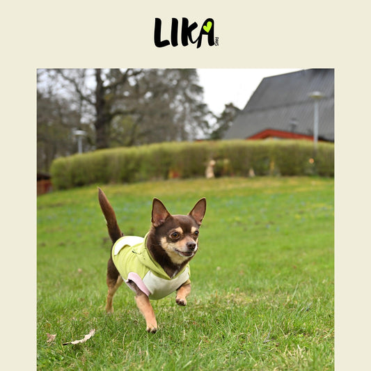 City Walker Super Soft Hoodie - Early Summer Green - Hoodies - LIKAPAWS