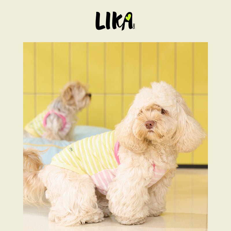 Cotton Striped Camisole Green - Shirt - LIKAPAWS