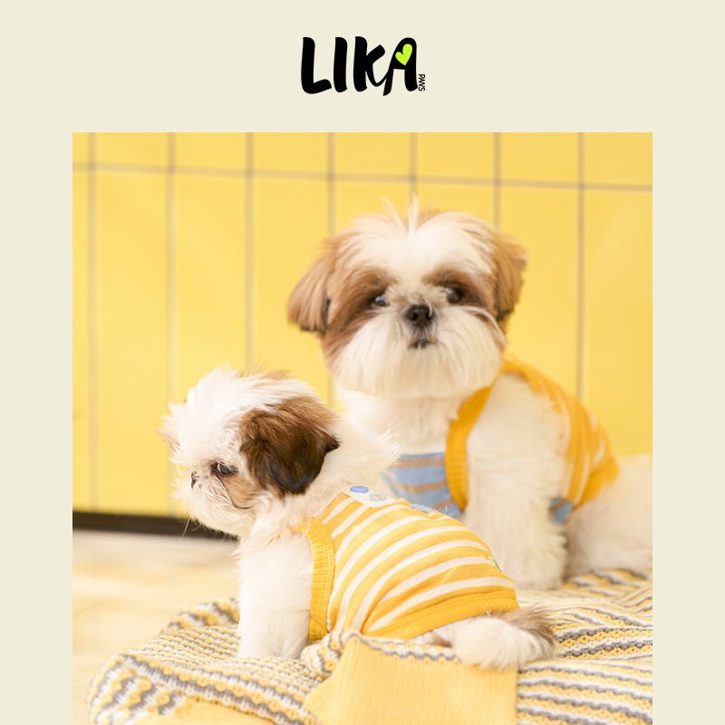 Cotton Striped Camisole Yellow - Shirt - LIKAPAWS