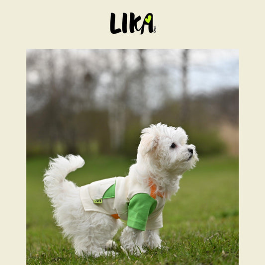 Fun With Color T-shirt - Verdant Orange - Shirt - LIKAPAWS