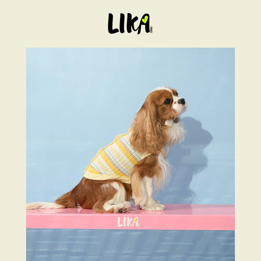 Harpwoven Knitwear - Knitwear - LIKAPAWS