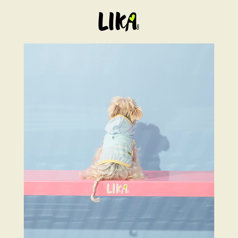 Hooded Summer Shirt Blue - Summer Shirt - LIKAPAWS