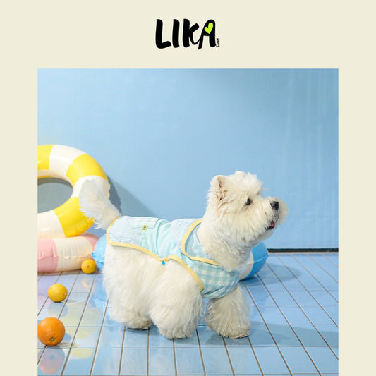 Hooded Summer Shirt Blue - Summer Shirt - LIKAPAWS