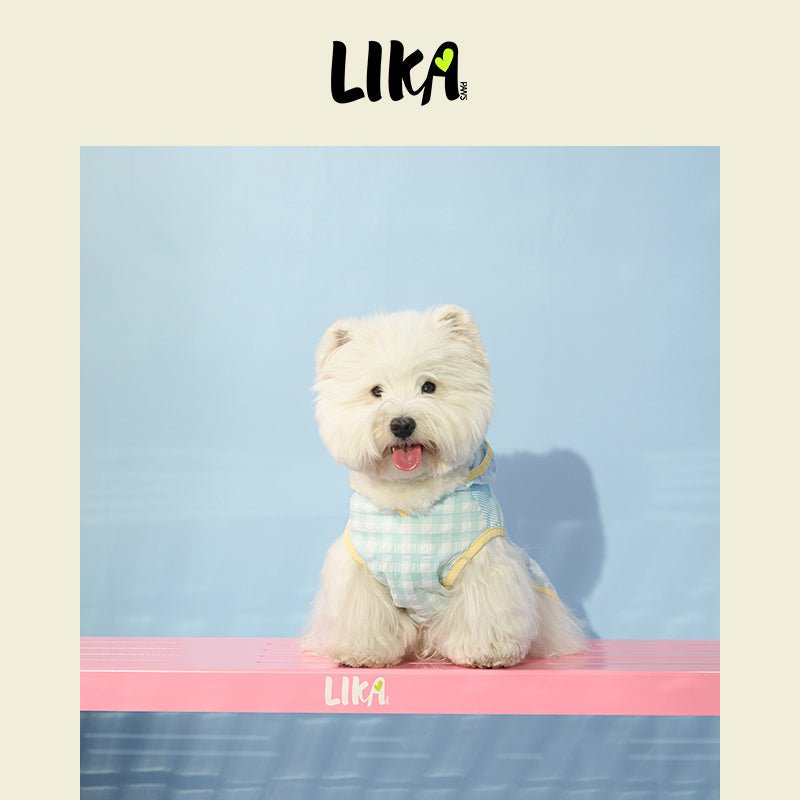 Hooded Summer Shirt Blue - Summer Shirt - LIKAPAWS