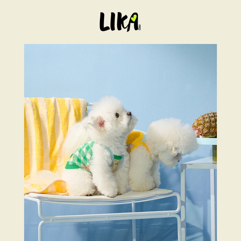 IslandPicnic knitted camisole Green - Knitwear - LIKAPAWS