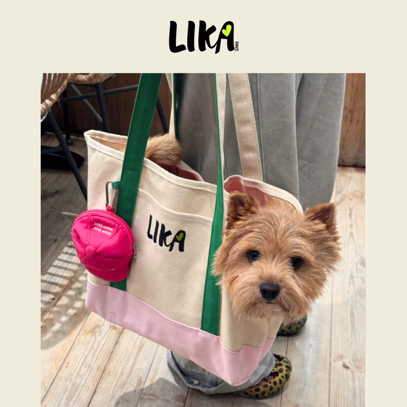 Canvas Tote Bag
