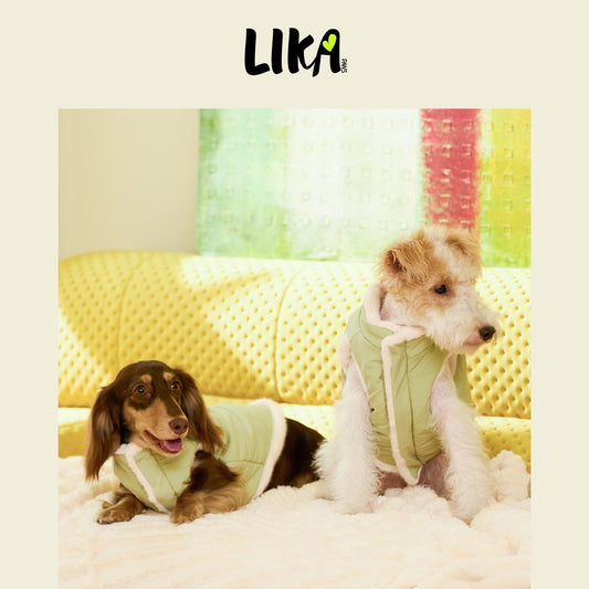 Reversible Padded Jacket - Matcha Green - Winter Jackets - LIKAPAWS