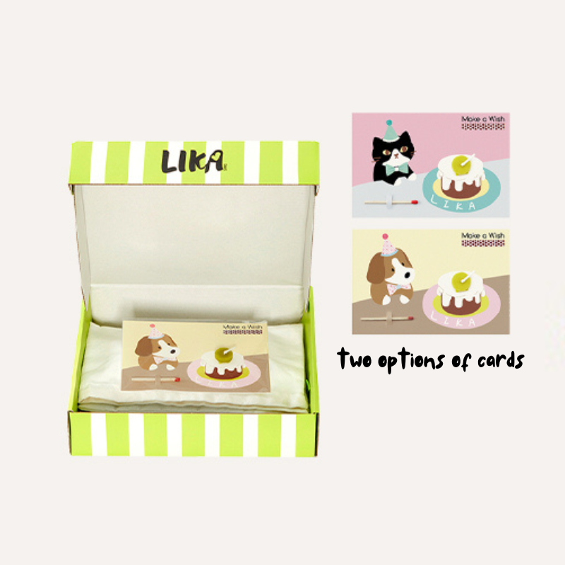 Pet Party Set - Blue