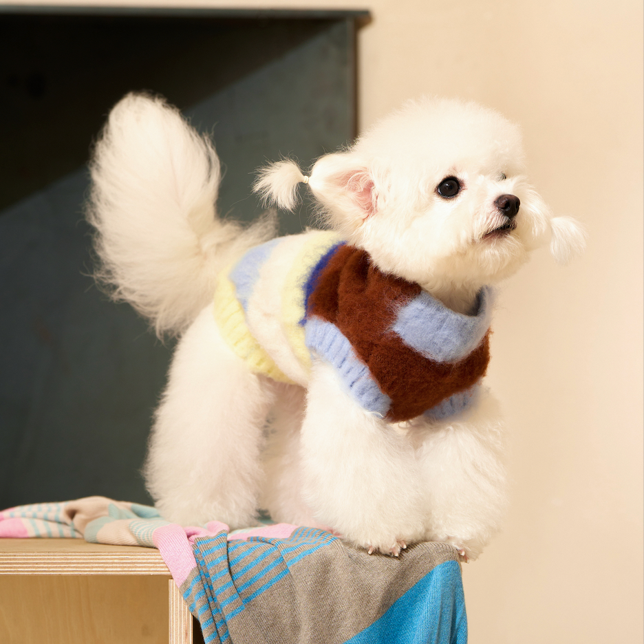 Pick-Two-Pay-One LIKAPAWS