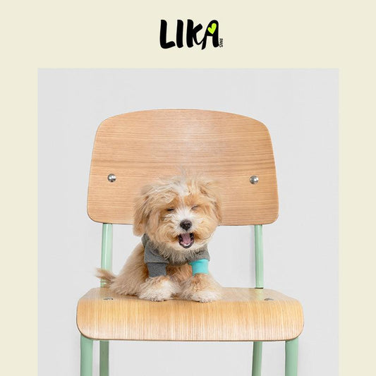 7x24 With You Short Sleeved Shirt - Dark Gray - Shirt - LIKAPAWS