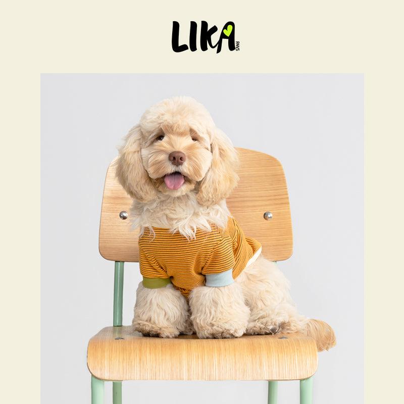 7x24 With You Short Sleeved Shirt - Yellow Black - Shirt - LIKAPAWS