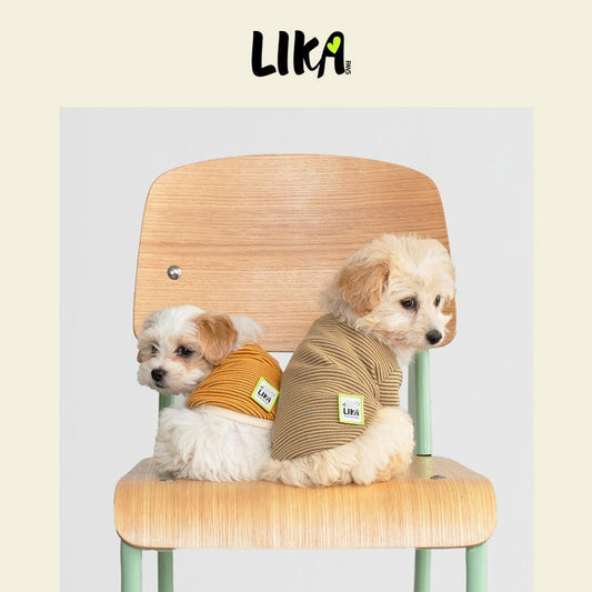 7x24 With You Short Sleeved Shirt - Yellow Black - Shirt - LIKAPAWS