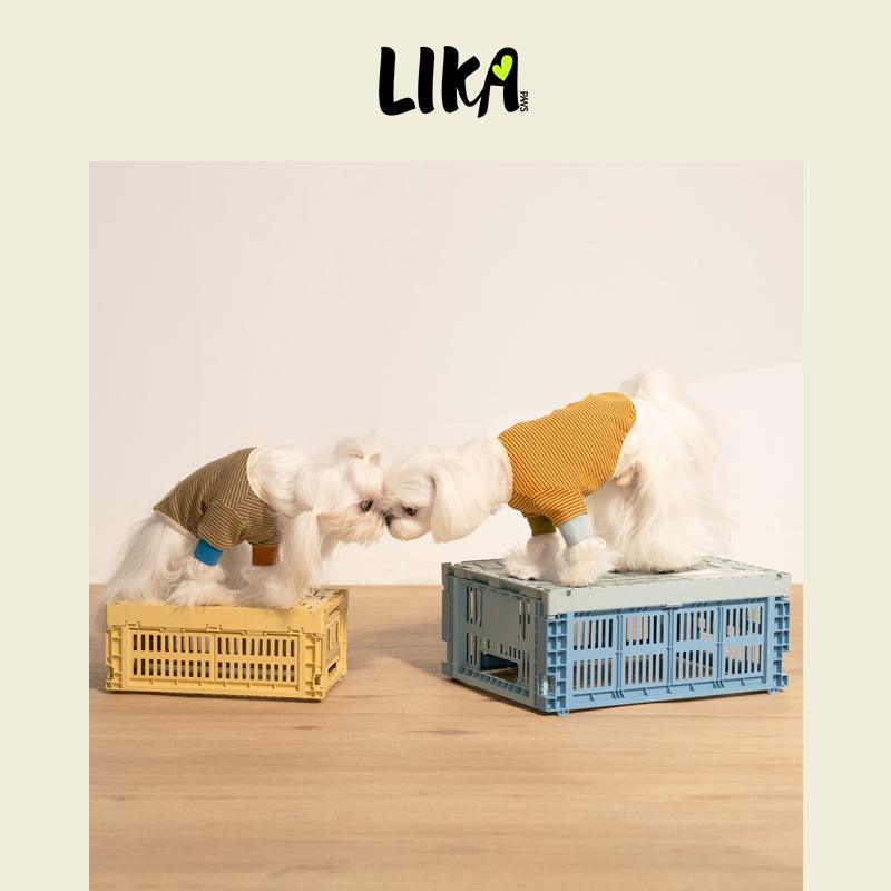 7x24 With You Short Sleeved Shirt - Yellow Black - Shirt - LIKAPAWS