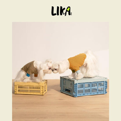 7x24 With You Short Sleeved Shirt - Yellow Black - Shirt - LIKAPAWS