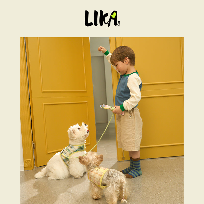 Reversible Felt Harness Green