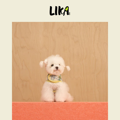 Reversible Felt Harness Green