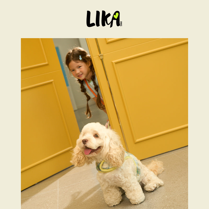 Reversible Felt Harness Green