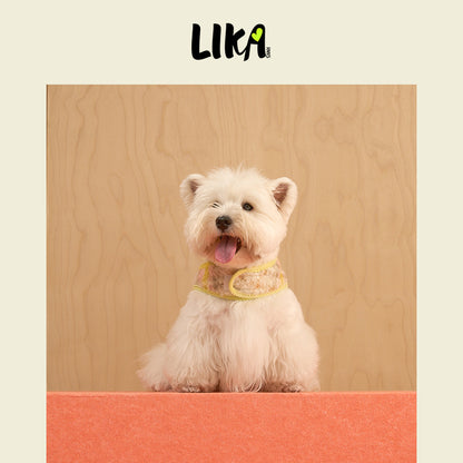 Reversible Felt Harness Orange