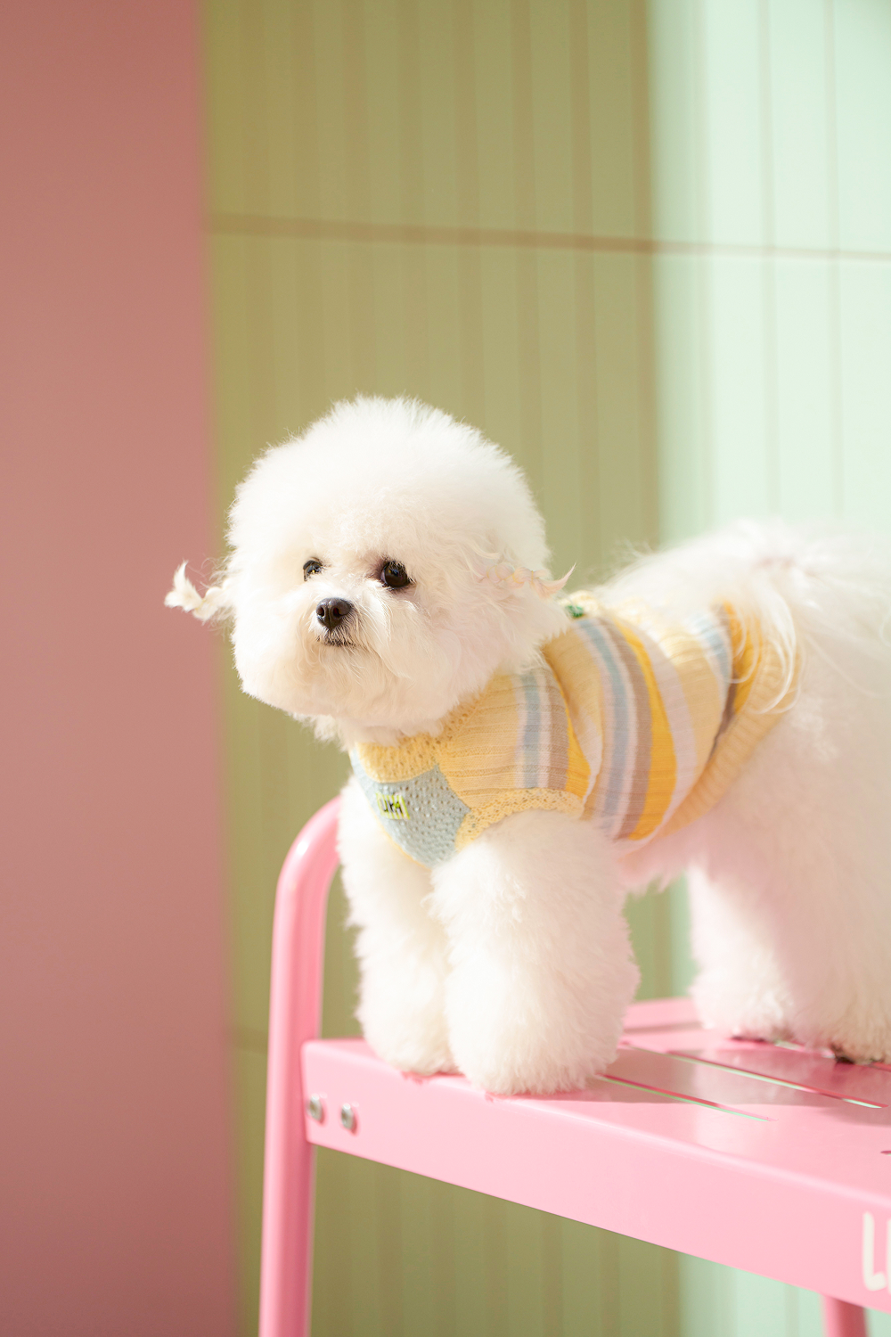 Accordion Melody Knit Vest