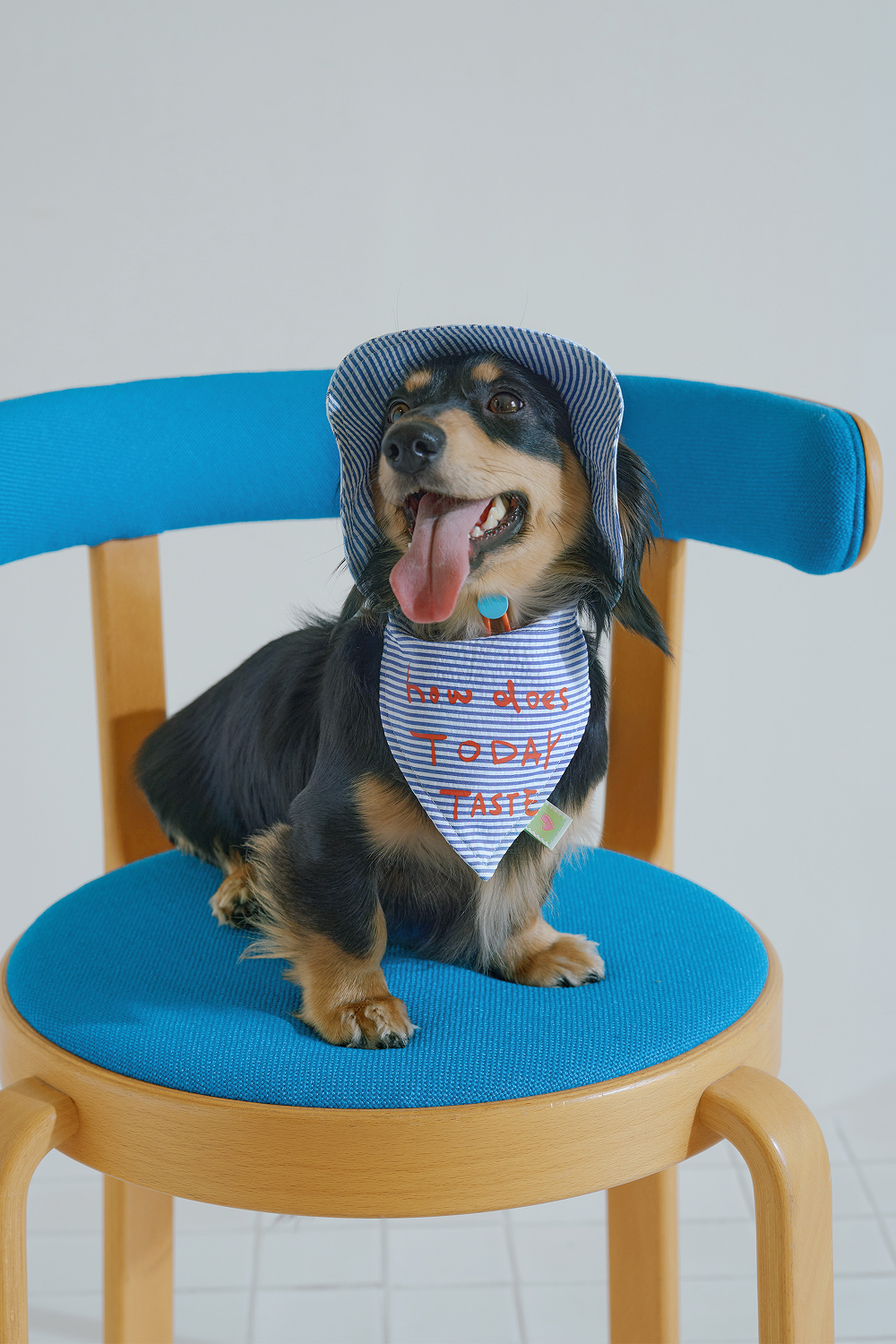 Baking Party Bib & Sun Hat