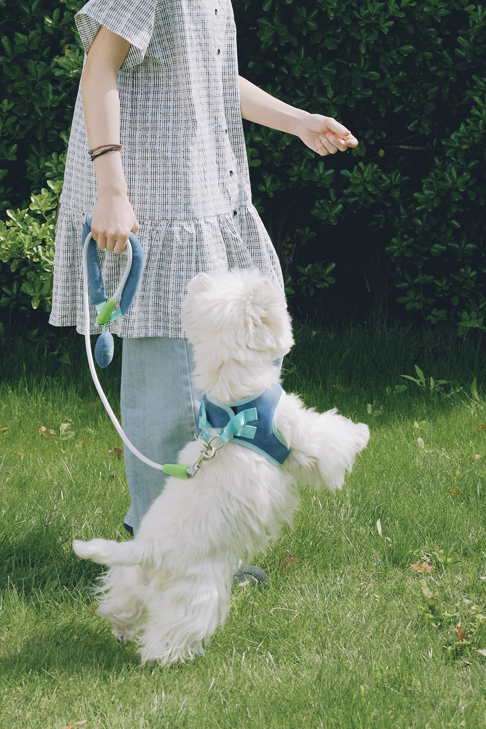 Blue Hour Pet Harness & Leash