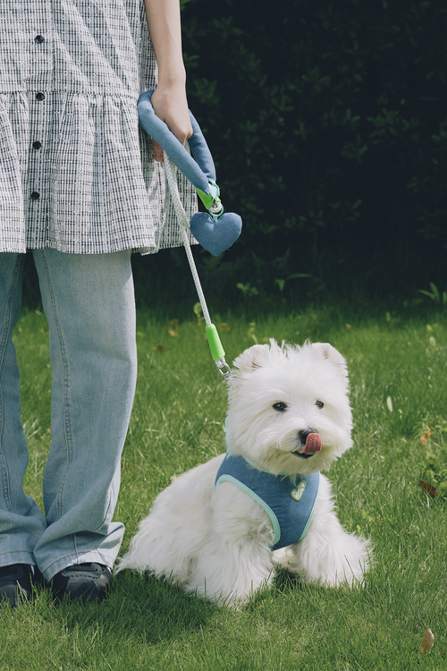 Blue Hour Pet Harness & Leash