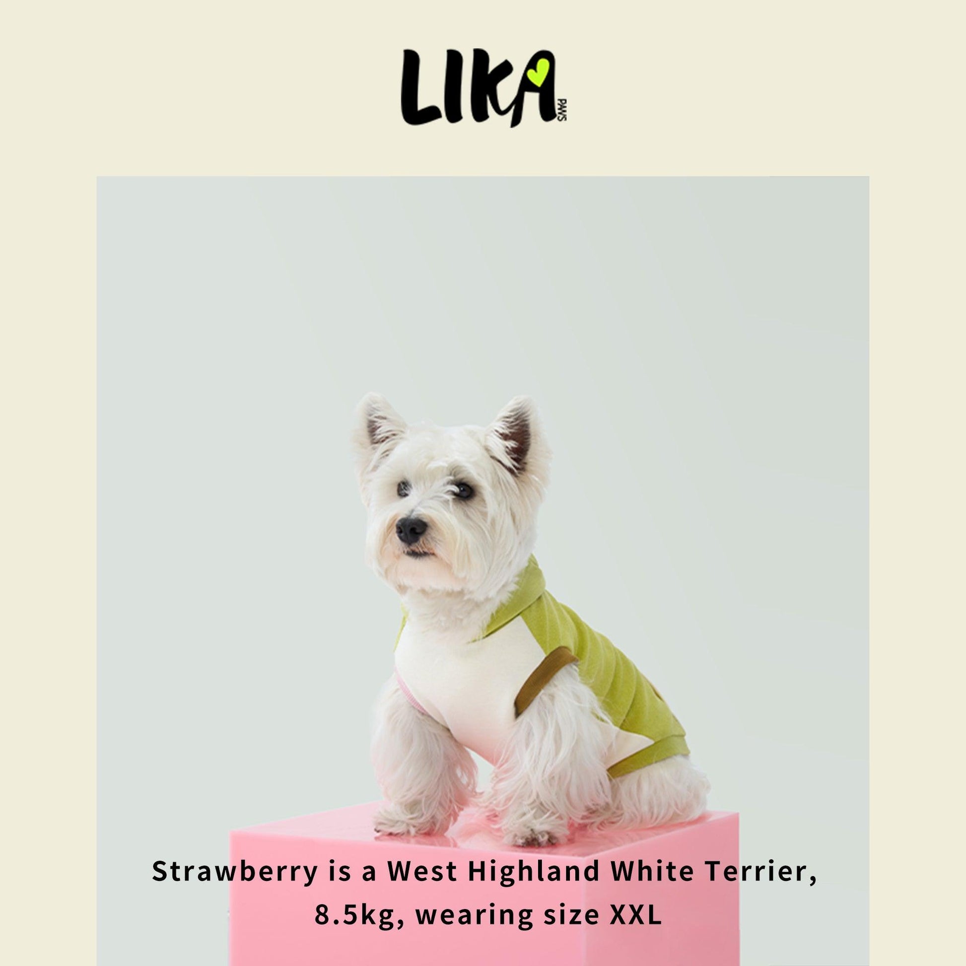 City Walker Super Soft Hoodie - Early Summer Green - Hoodies - LIKAPAWS