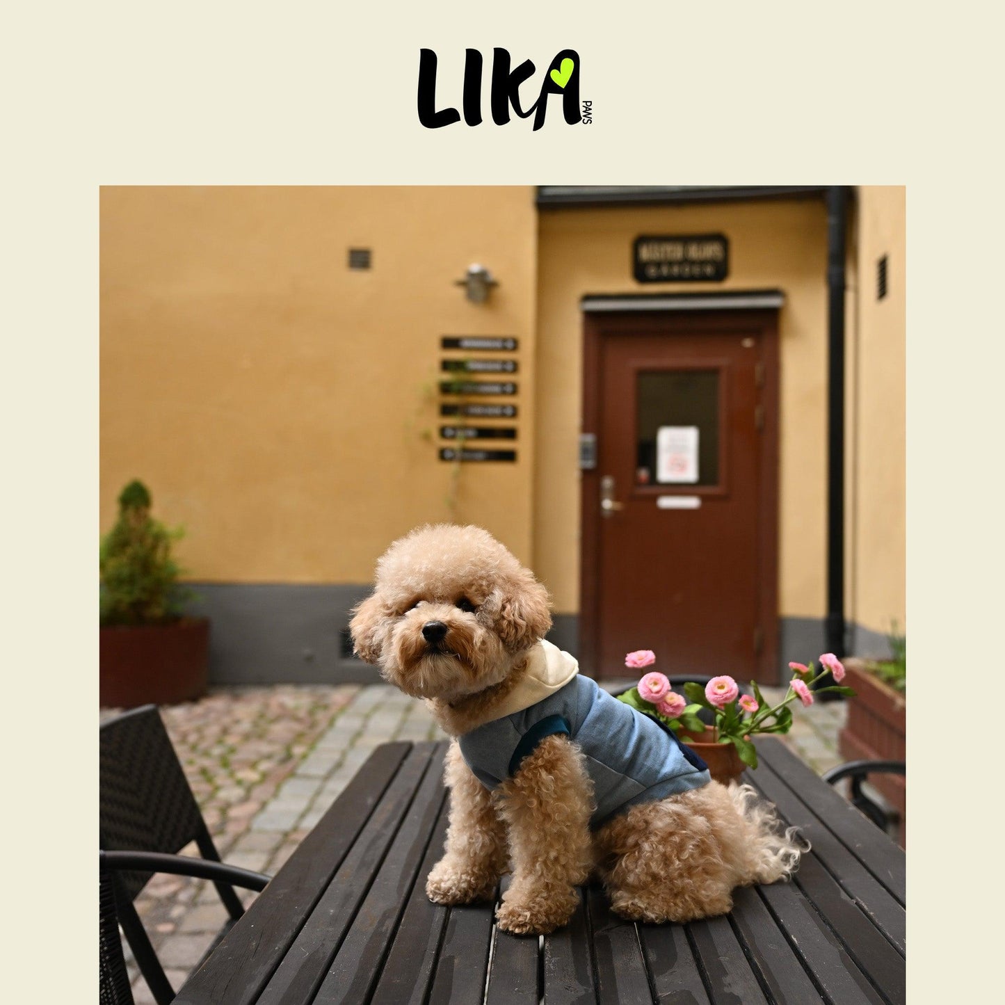 City Walker Super Soft Hoodie - Jeans Blue - Shirt - LIKAPAWS