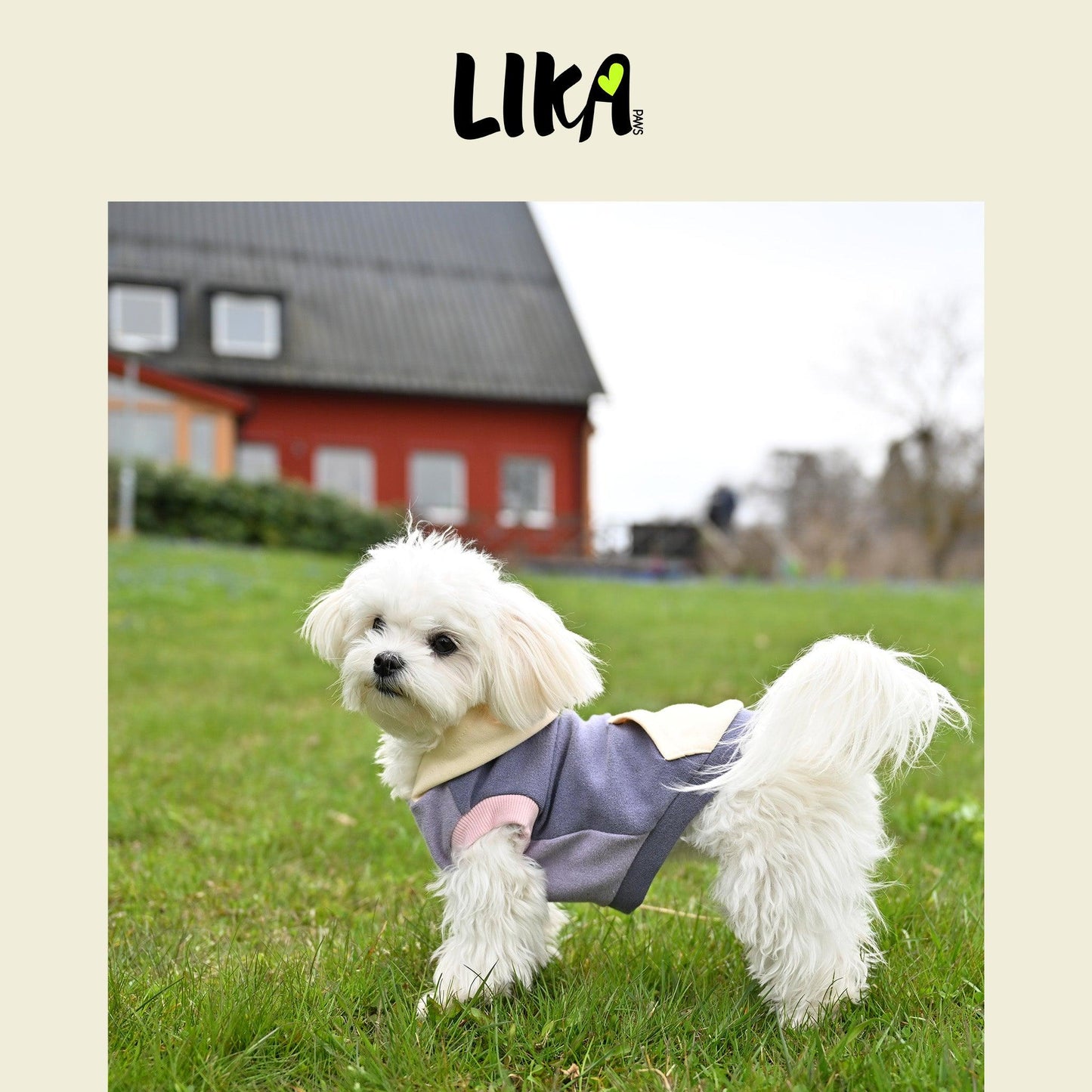 City Walker Super Soft Hoodie - Twilight Purple - Hoodies - LIKAPAWS