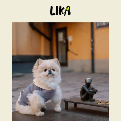 City Walker Super Soft Hoodie - Twilight Purple - Hoodies - LIKAPAWS