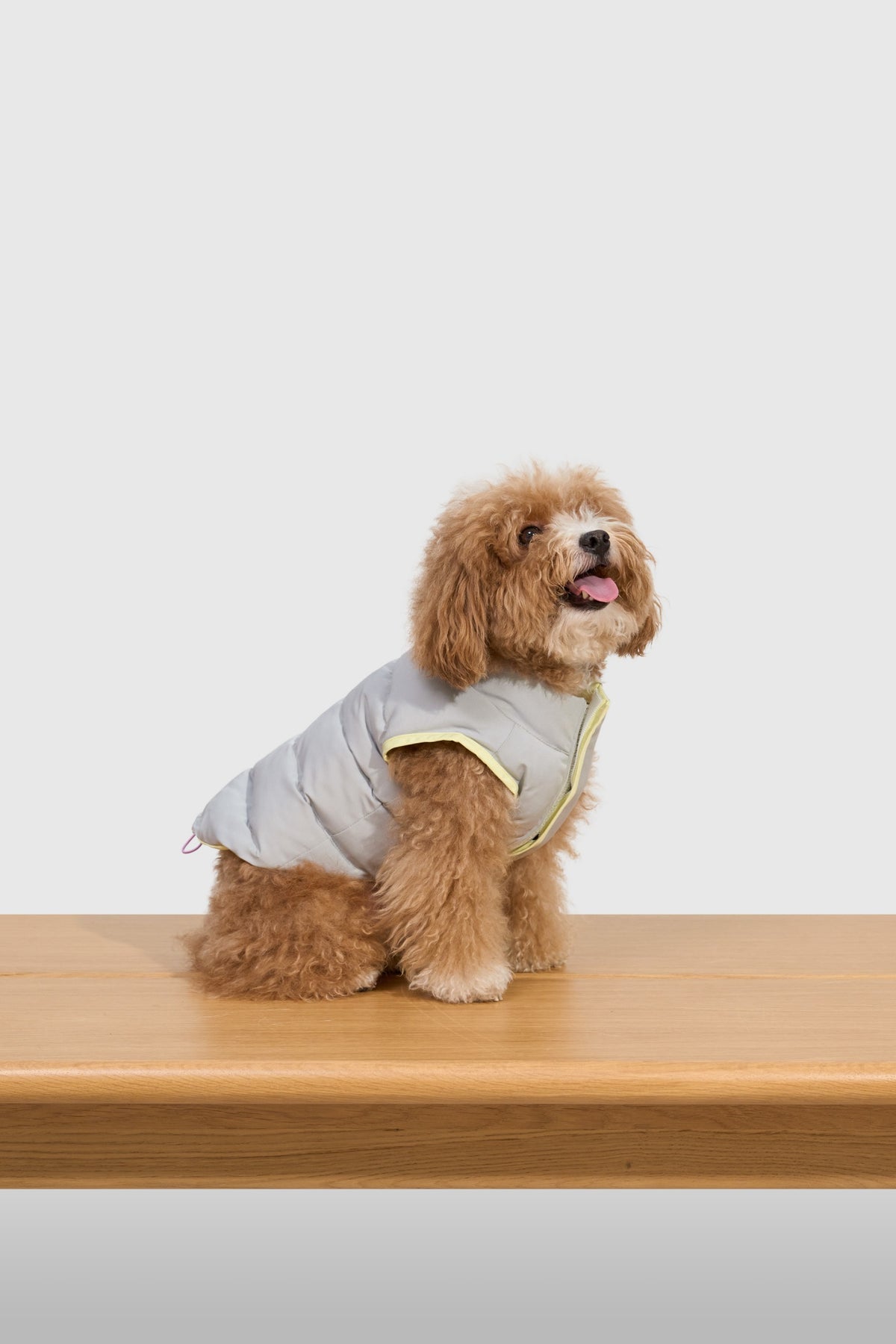 Cloud Toast Padded Coat